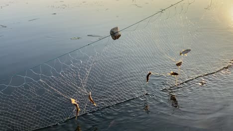 Chinesische-Fischernetze-Sind-In-Indien-Eine-Art-Stationäre-Hebenetze