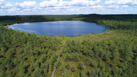 Rised-bog-aerial-wide-view-in-autumn-colors