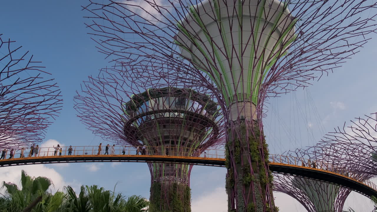 Supertree Grove in Gardens by the Bay, Singapore