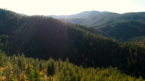 aerial view of the siskiyou mountains and pine forest in southern oregon