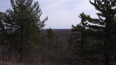 we see plenty of greenery with a few conifers on the summit of a small mountain. in the distance, the horizon is visible with a slightly bluish sky and a few clouds.