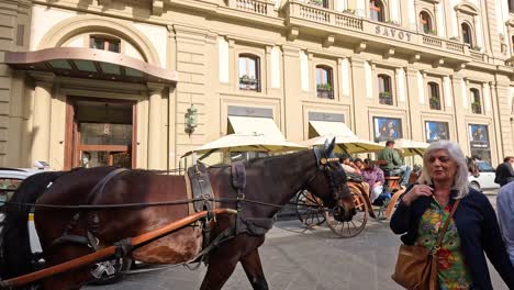 carriage ride through florence's historic streets