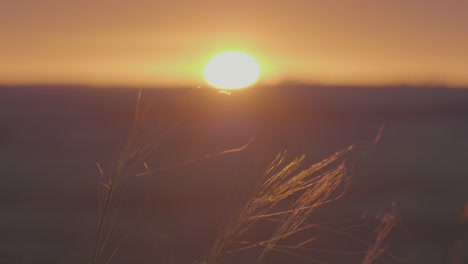 le coucher de soleil sur un champ