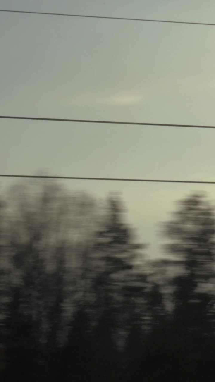 Trees and Sky Through a Train Window