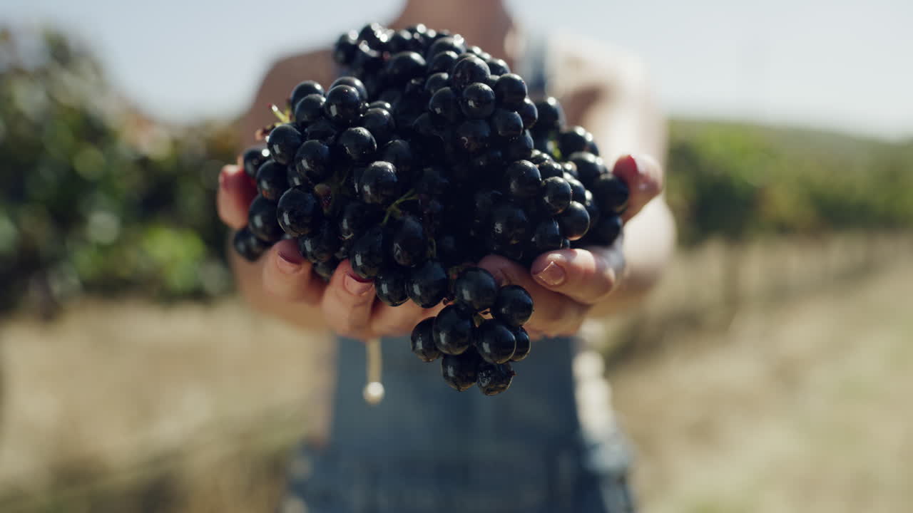 estos son el resultado de la paciencia y la crianza