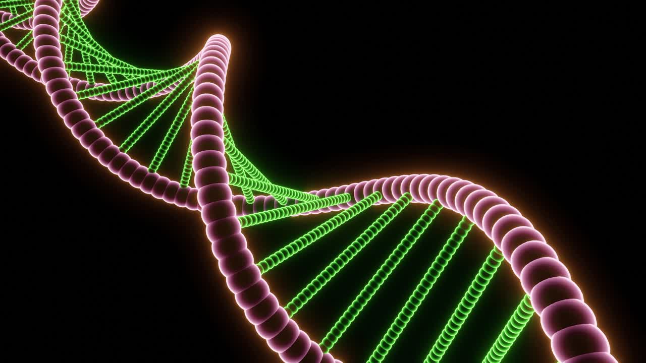 Modello 3D di una doppia elica del DNA
