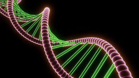 3d model of a dna double helix