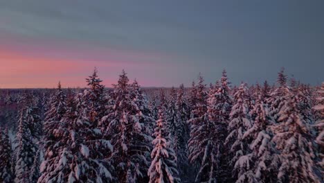 4k cinematic footage of a winter wonderland, with snow-covered pines glowing under the soft light of sunrise in the arctic, capturing the serene beauty of the frozen landscape.