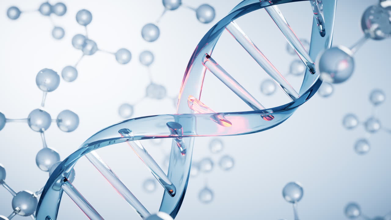 dna와 생물학 개념, 3d 렌더링
