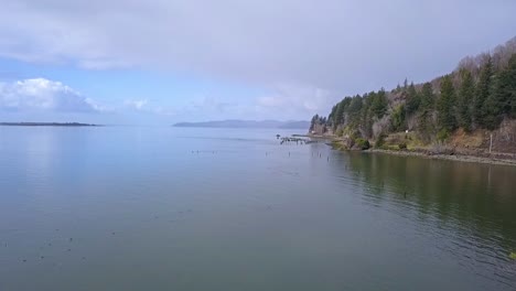 Flying-by-solo-tree-on-rock-island-in-the-bay-with-drone-1080p