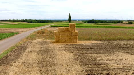 square hay bales stacked in a wheat field in summer