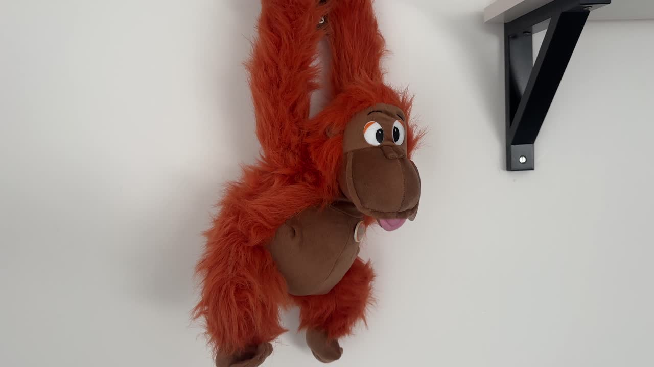 Close up shot of a toy teddy bear baby orangutan