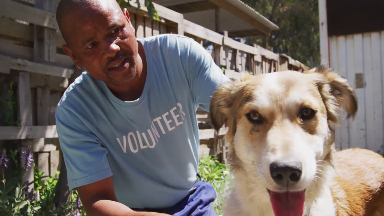 hombre afroamericano voluntario en un refugio para perros