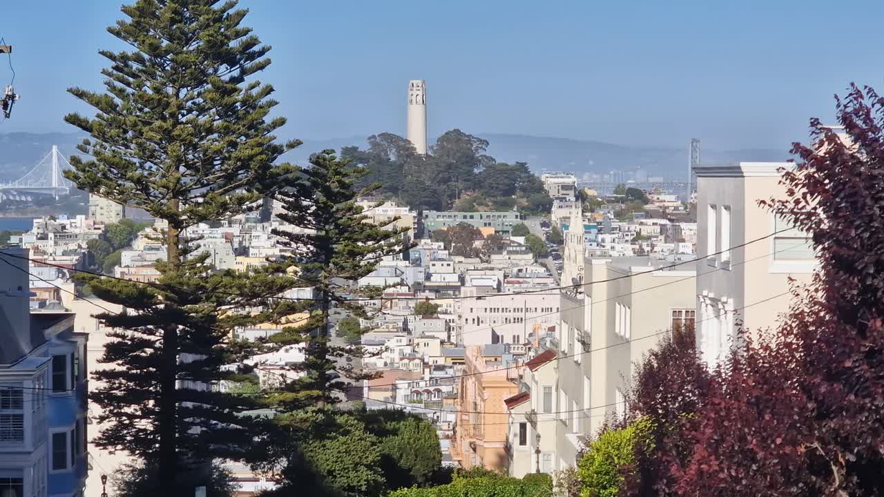 Coit Tower and Downtown Residential Neighborhood of San Francisco USA, View From Russian Hill on Sunny Day