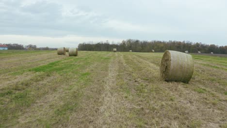 Fliegen-Sie-über-Strohrollen-Auf-Einem-Schönen-Landwirtschaftlichen-Feld-Im-Herbst-Mit-Schönem-Himmel-Und-Bäumen-Mit-Roten-Und-Gelben-Blättern