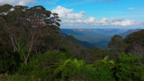 blue mountains gum tree eucalyptus forest aerial drone katoomba sydney nsw australia sunny bluesky three sisters echo point lookout cliff walk national park afternoon right motion