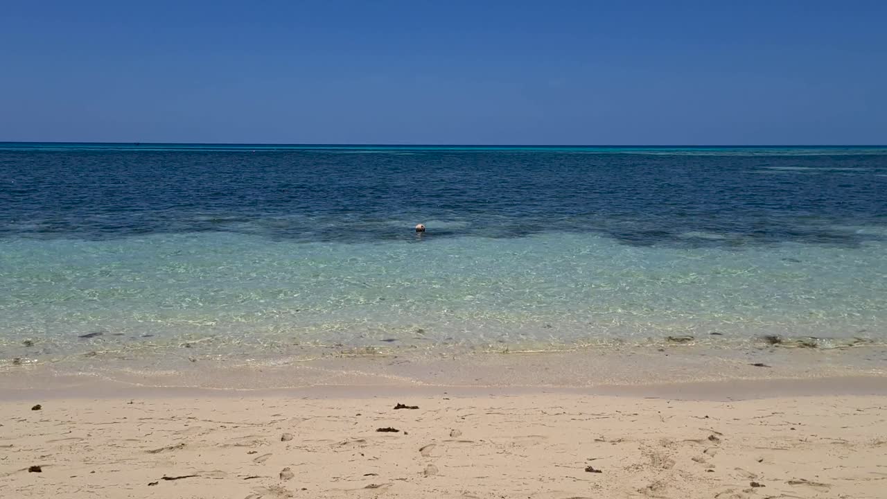 바다에서 근처에 떠있는 노란색 부표를 향해 모래 해변 위의 공중 낮은 비행
