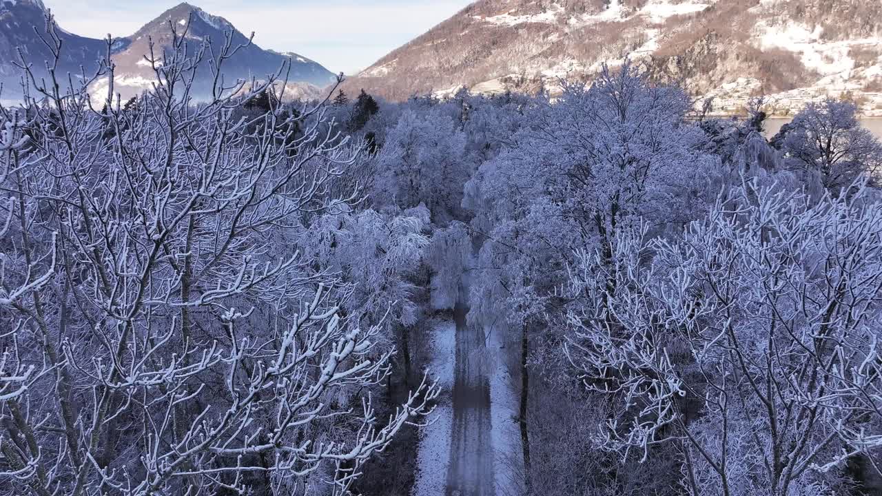 Aerial view of a winter road winding through a snow-covered forest near Walensee, Switzerland. Frost-covered trees line the path, creating a serene, tranquil winter scene.