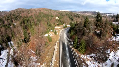 A-road-through-the-forest