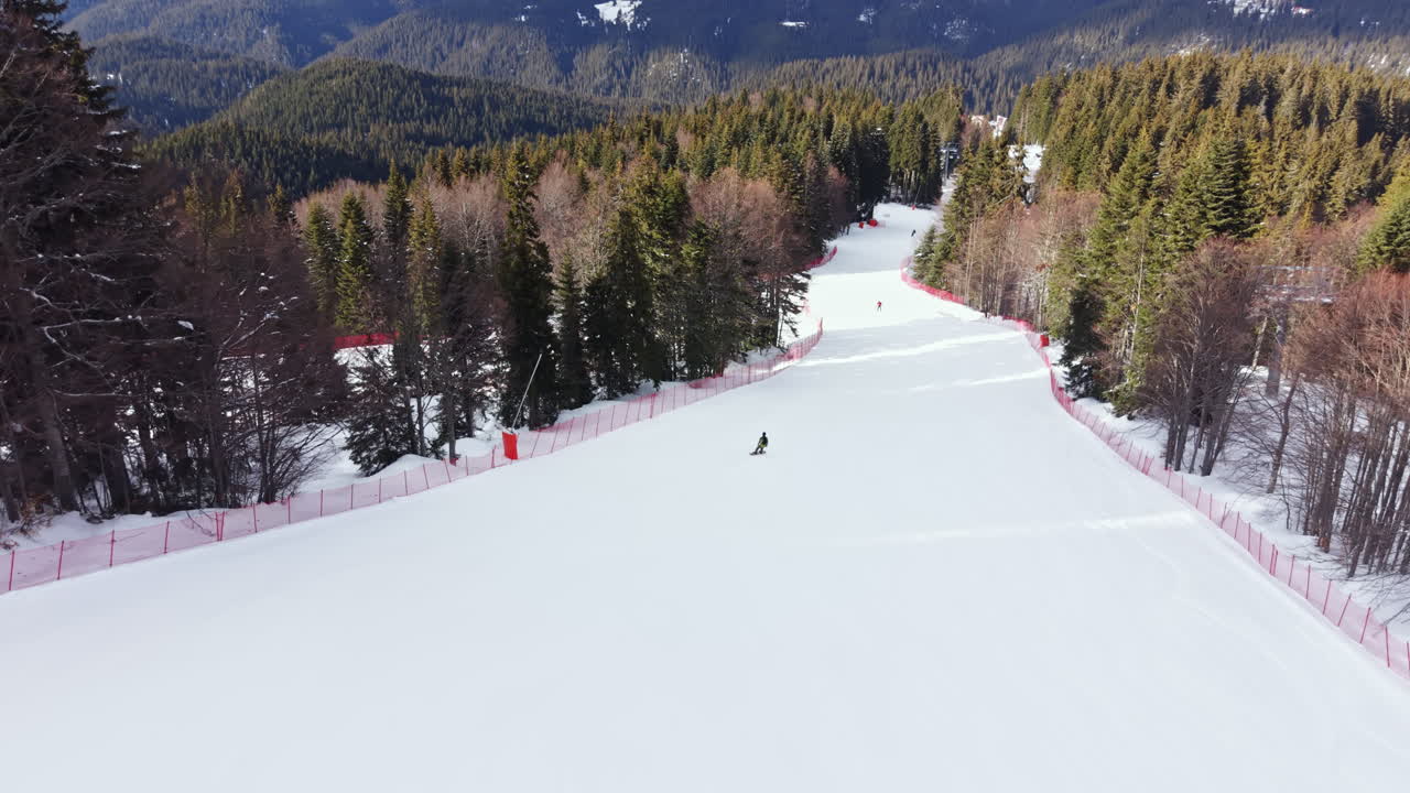 Snowboarder scendono un pendio in una zona boschiva durante l'inverno, mostrando una popolare attività all'aperto in condizioni di freddo.