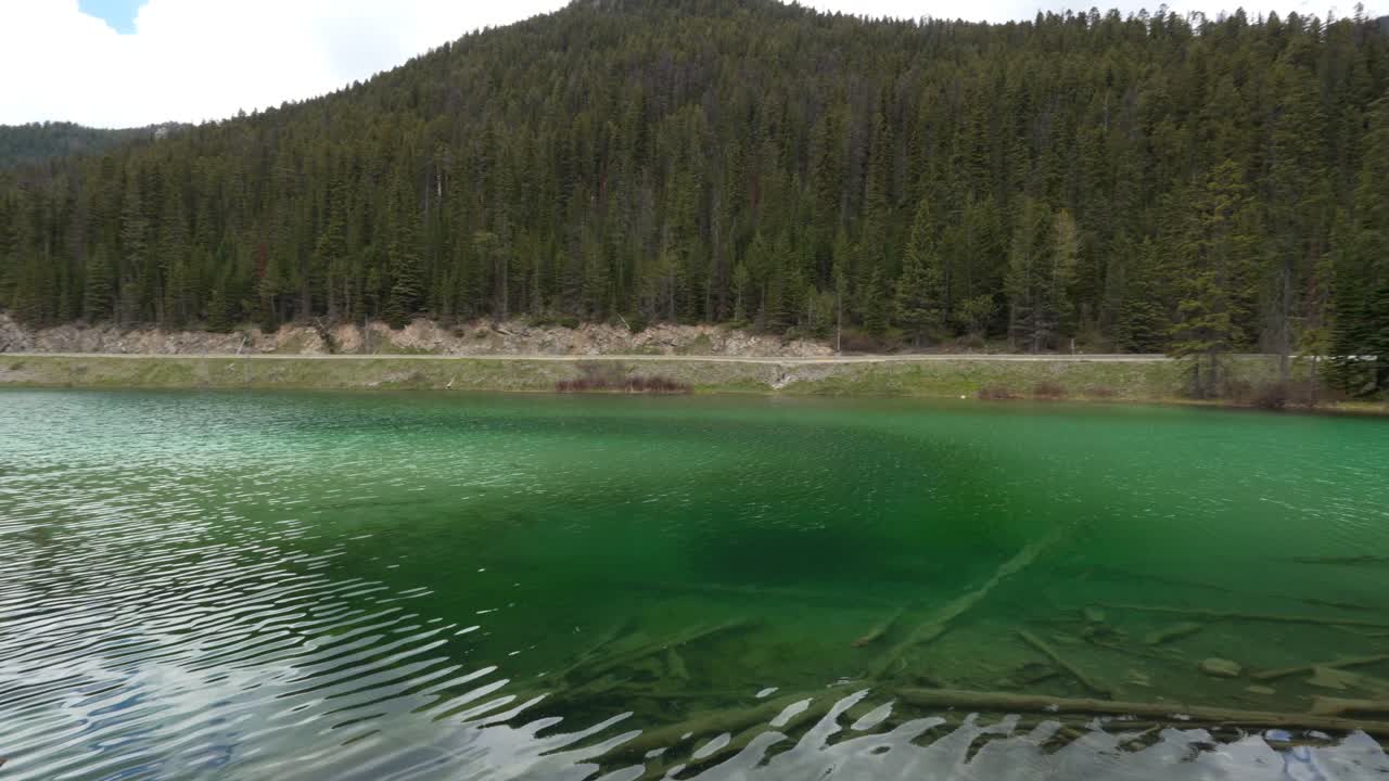 Olive Lake showing clear green water with submerged logs and forested mountains in Kootenay National Park