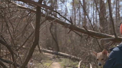 junge frau mit kurzen haaren macht einen spaziergang im wald mit einem kleinen hund 2