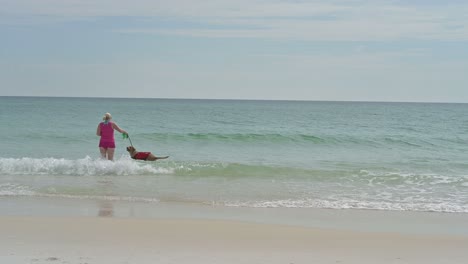 perro jugando con pelota en la playa de pensacola en arenas blancas y aguas claras de color esmeralda en un día caluroso y soleado con cielo despejado mujer y hombre jugando con un perro