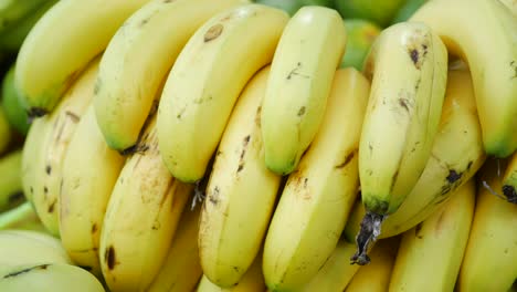 un ramo de plátanos amarillos