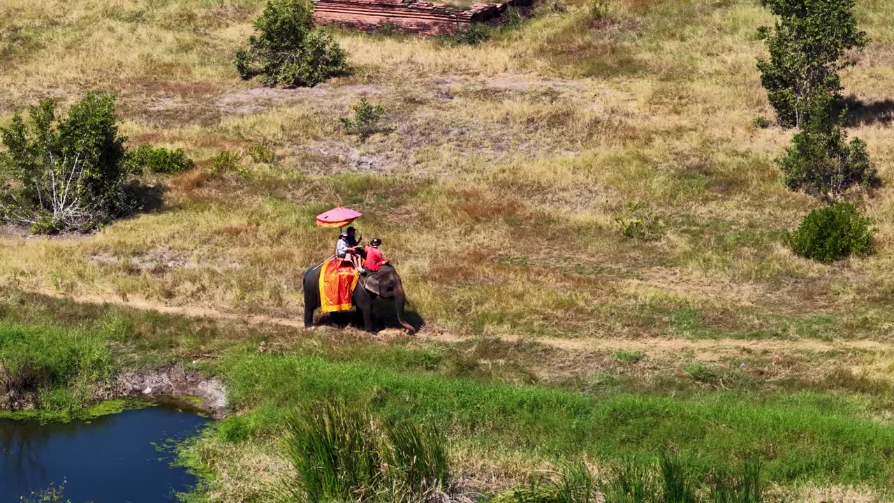Foto aerea dall'alto di turisti che cavalcano un elefante attraverso un campo erboso in Thailandia