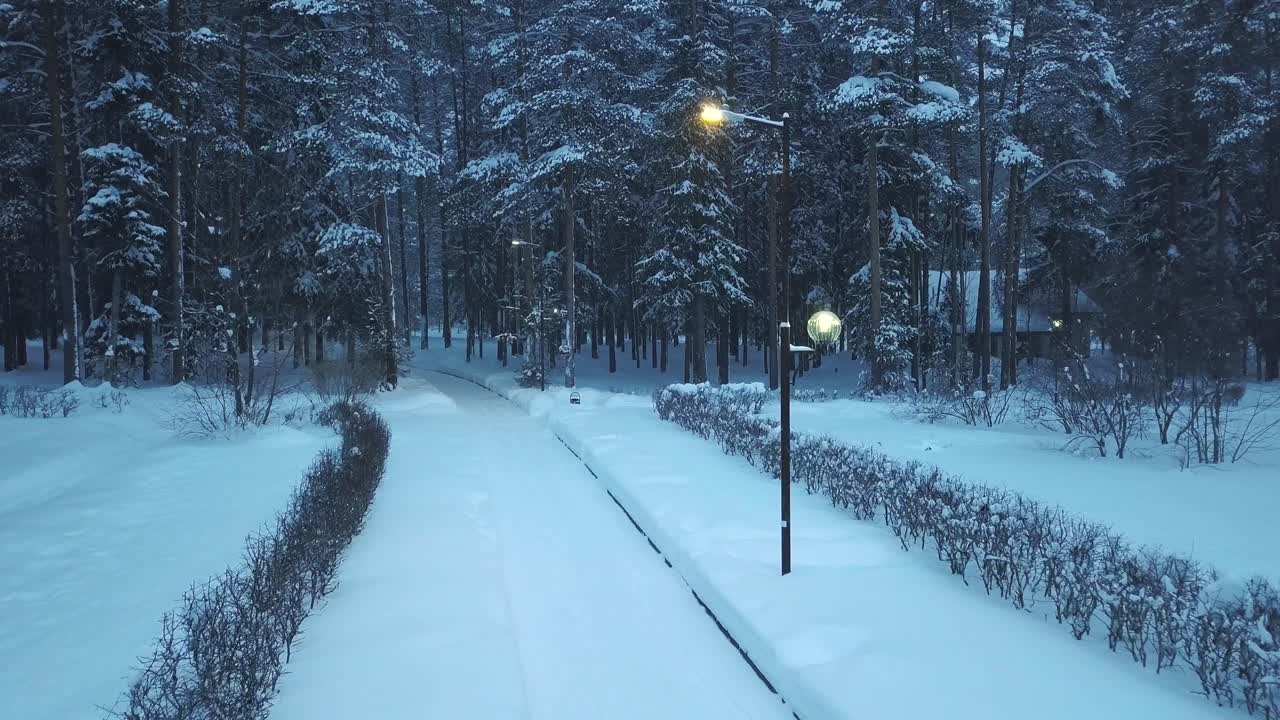 밤 에 눈 인 겨울 공원
