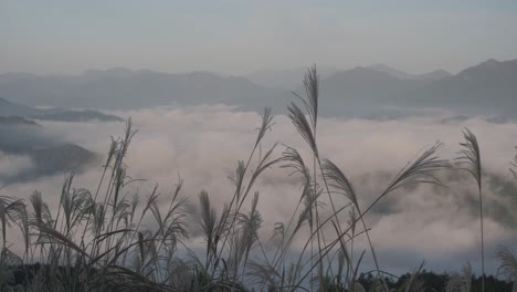 Sunrise-over-the-Iya-Valley-in-Shikoku,-Japan