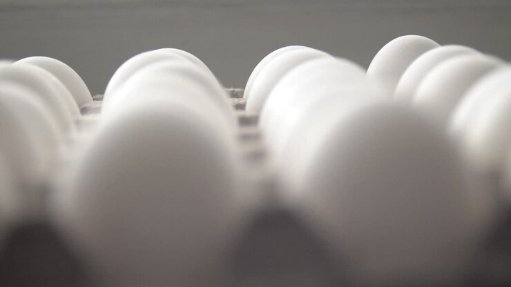 Selective focus Front view of a Package Cardboard Holder Egg Tray with eggs
