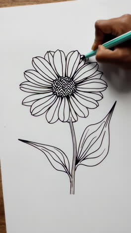 drawing a flower outline with a marker