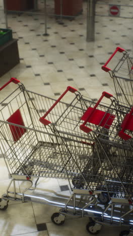 empty shopping carts at a grocery store