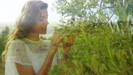 woman picking berries