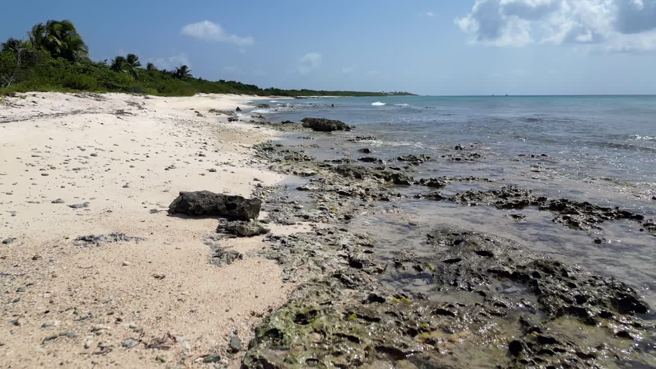 imágenes de aviones no tripulados volando sobre la superficie de un océano turquesa, tropical y arrecife de coral en el caribe a lo largo de una playa bordeada de palmeras nativas