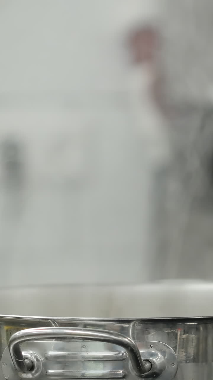 Large Stainless Steel Pot