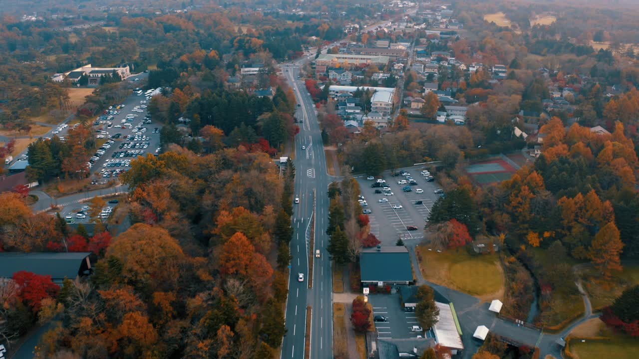 아름다운 가을 공원, 다채로운 잎과 나무