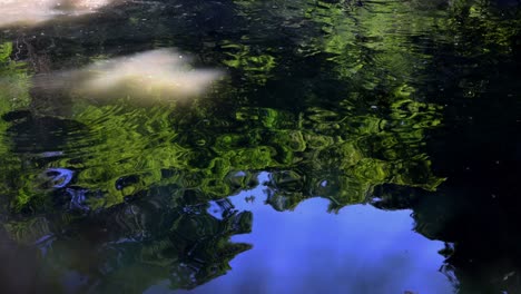 The-beautiful-view-in-Rikugien-Gardens