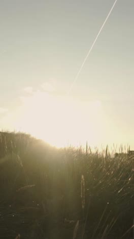 sunrise or sunset in a field