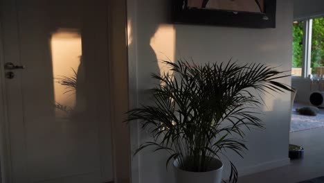 Gehender-Schatten-An-Einer-Wand-In-Einem-Haus-Während-Des-Sonnenuntergangs