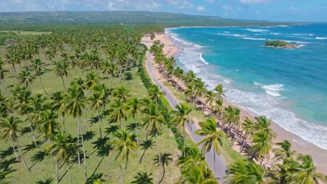 Aerial-flyover-Palm-tree-Plantation,-path,sandy-beach-and-blue-Caribbean-Sea-lighting-by-sun