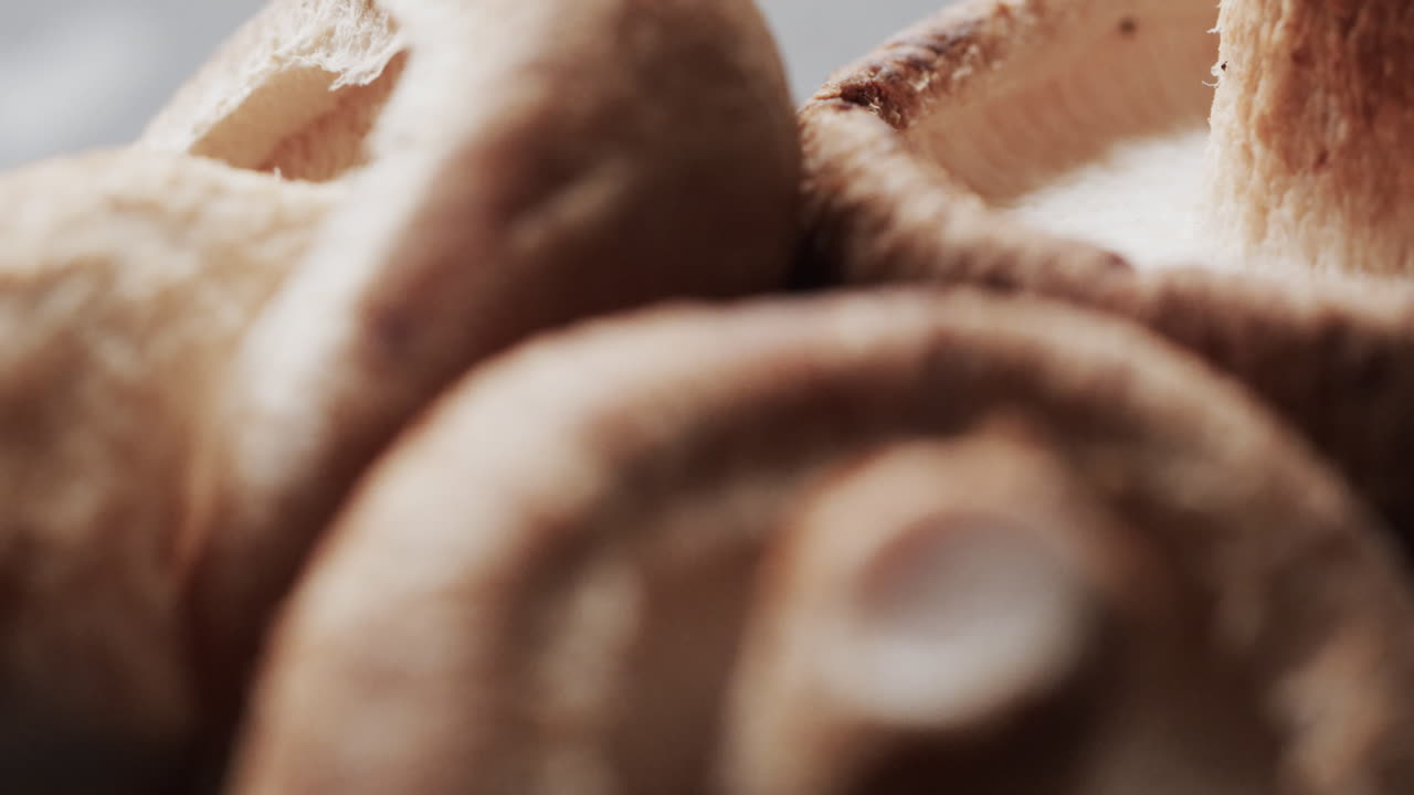 Micro-vidéo en gros plan de champignons avec espace pour texte sur fond gris