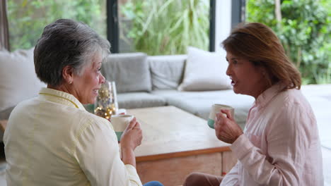 senior women laughing and enjoying coffee together at home during christmas