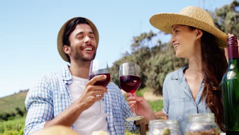 couple toasting wine glasses in the farm