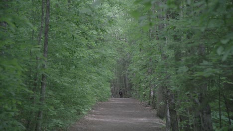 wide exterior of solo backpacker on mountain trail