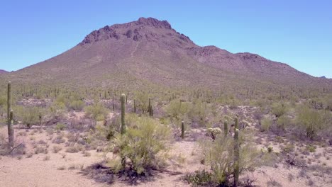 toma aérea alrededor de cactus del desierto en el parque nacional saguaro cerca de tucson arizona 1