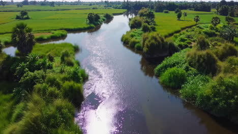 river flowing through rice paddies