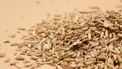 close up of fennel seeds