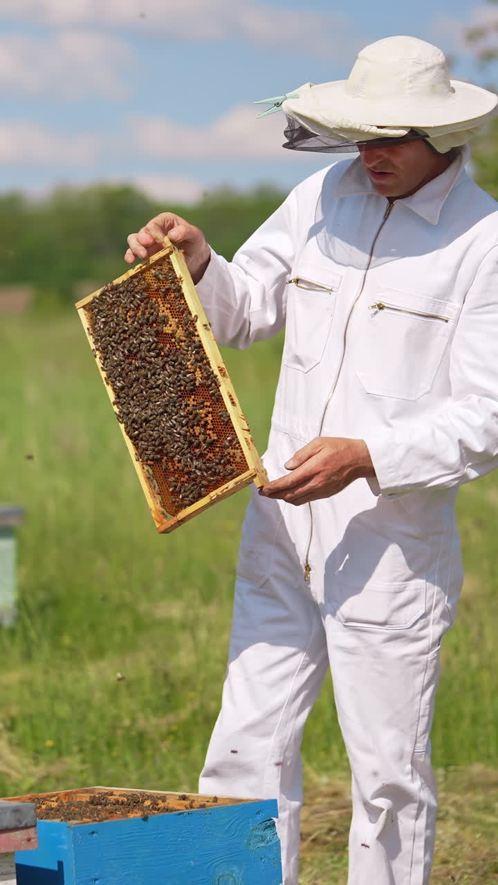 Male beekeeper working with beehives. Agricultural summer insects worker in protecive suit. Vertical video